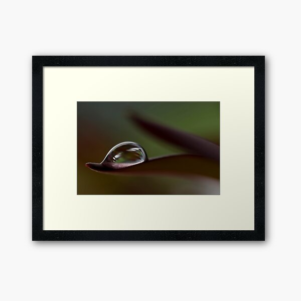 Item preview, Peace Offering designed and sold by Jenni77.