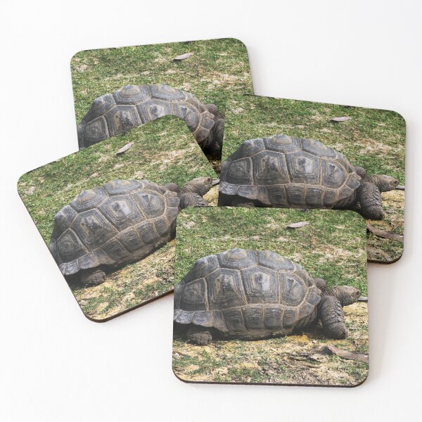 Item preview, Tortoise designed and sold by QuackerSnaps.