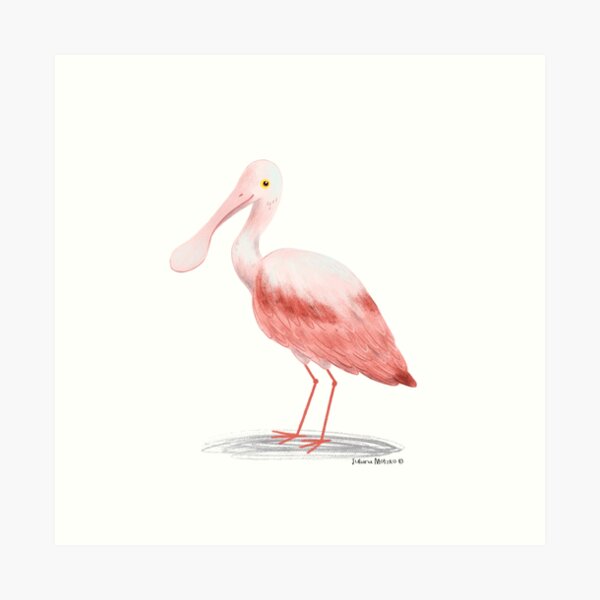 Item preview, Roseate Spoonbill Bird designed and sold by julianamotzko.