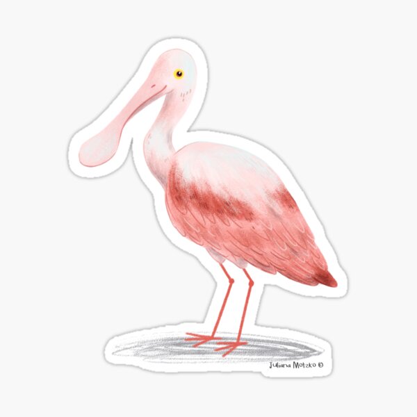 Roseate Spoonbill Bird Sticker