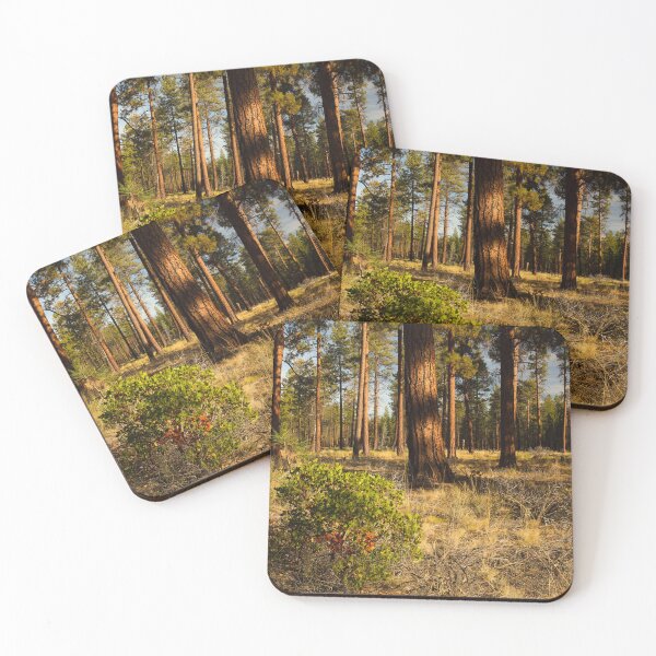 Item preview, Grove of pine trees in central Oregon. designed and sold by jklune.