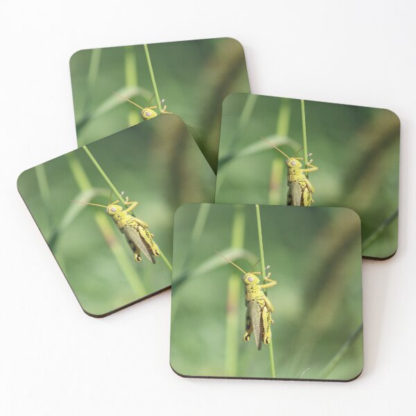 Item preview, Grasshopper designed and sold by Nhaelm.