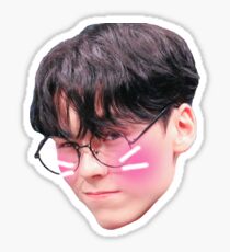 Seventeen Vernon Sticker