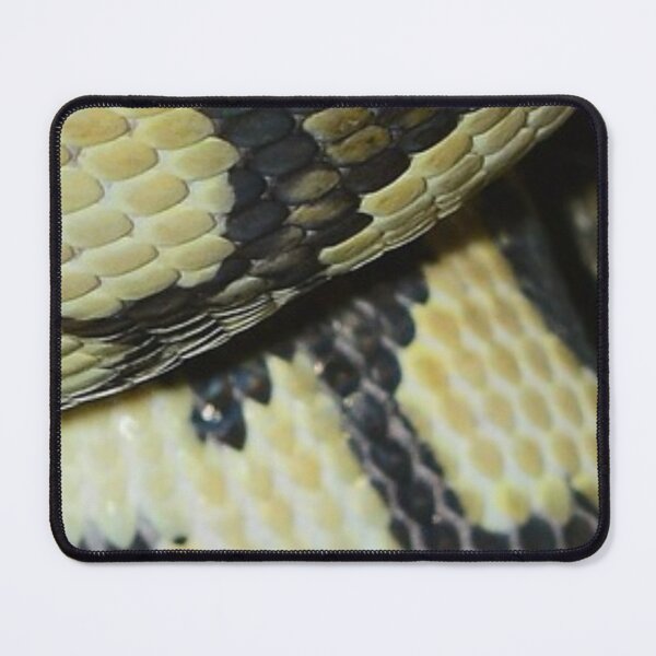 Item preview, Colorful Pattern of a Snakeskin   Nr. 11 designed and sold by fredgarden8.