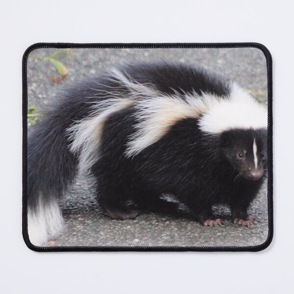 Item preview, MY 1ST WILD SKUNK designed and sold by BOLLA67.
