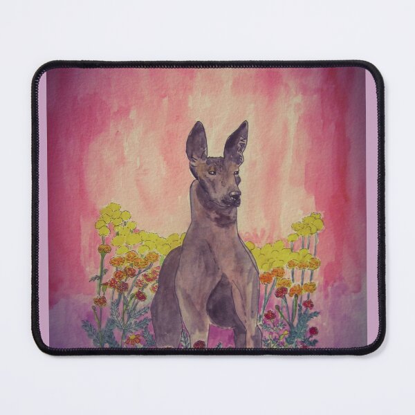 Item preview, Xoloitzcuintle in Marigolds designed and sold by TurnipWilson.