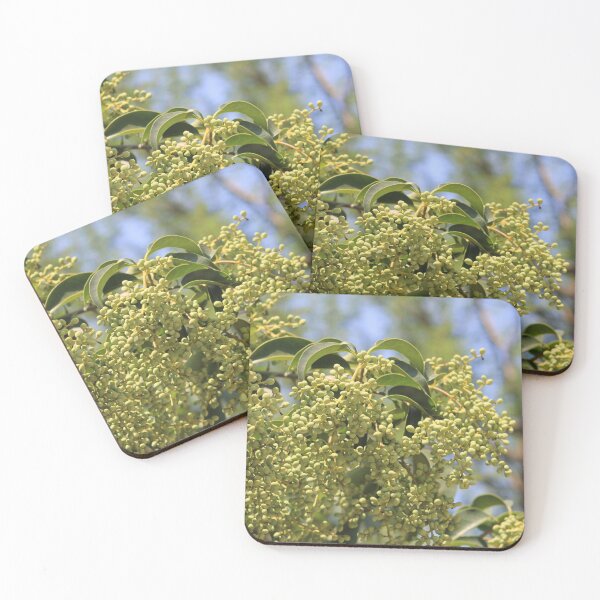 Item preview, Cluster designed and sold by Catherine Kerr.