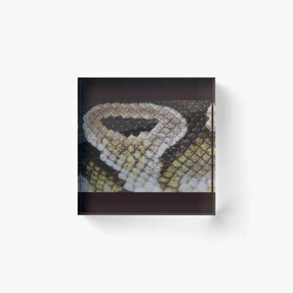 Item preview, Colorful Pattern of a Snakeskin   Nr. 13 designed and sold by fredgarden8.