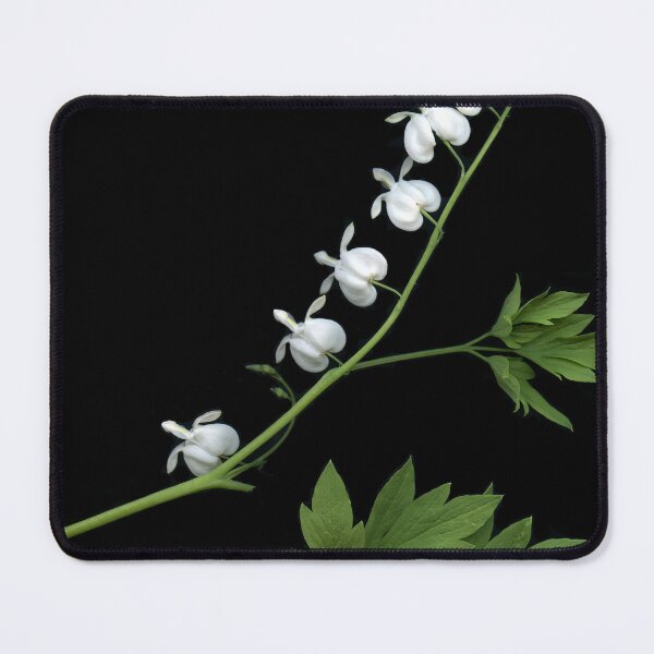 Item preview, April Dicentra designed and sold by Gabriele Maurus.