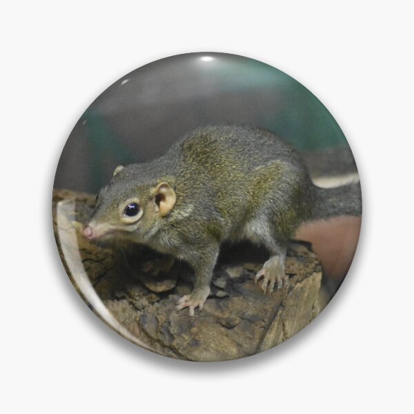 Item preview, Shrew designed and sold by MarieDarcy97.