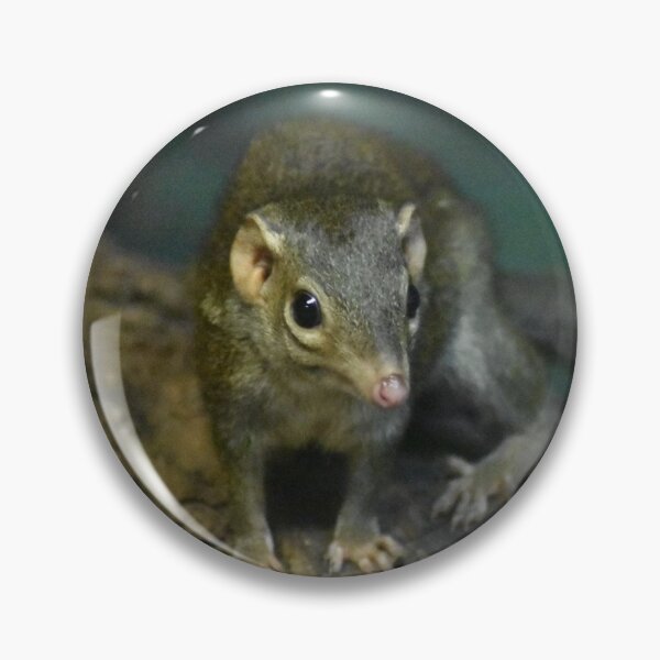Item preview, Shrew designed and sold by MarieDarcy97.