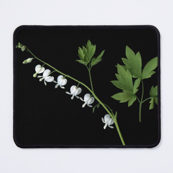 Item preview, Dicentra to the left designed and sold by Gabriele Maurus.