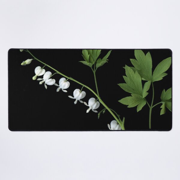 Item preview, Dicentra to the left designed and sold by Gabriele Maurus.