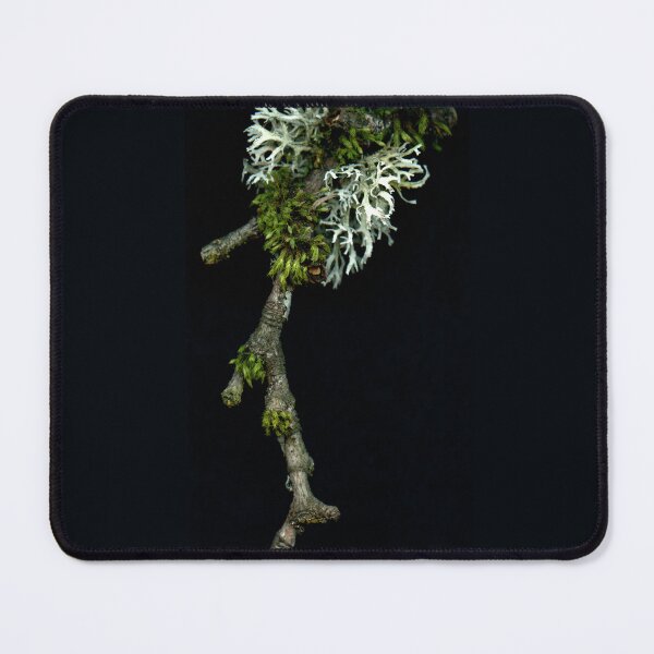 Item preview, The mossy twig. designed and sold by Gabriele Maurus.