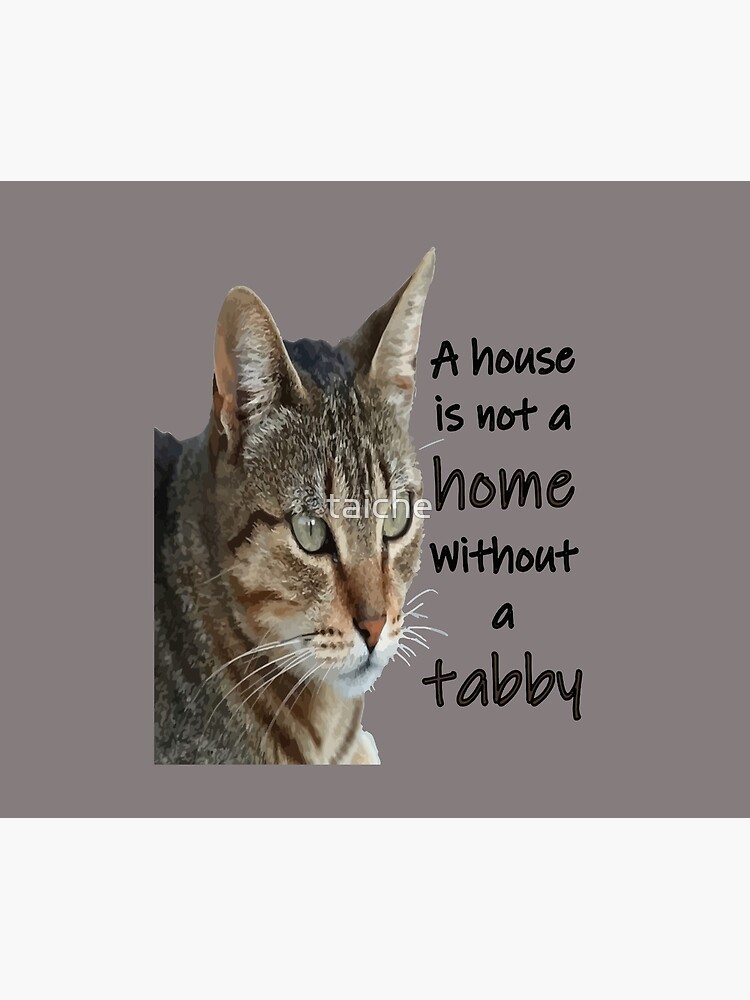 A House Is Not A Home Without A Tabby Cat by taiche