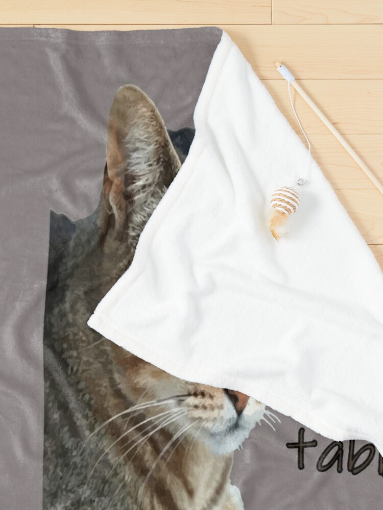 Alternate view of A House Is Not A Home Without A Tabby Cat Pet Blanket