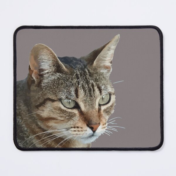 Item preview, Stunning Tabby Cat Close Up Portrait Vector Isolated designed and sold by taiche.
