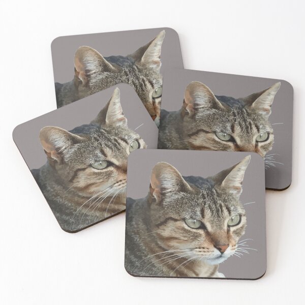 Item preview, Stunning Tabby Cat Close Up Portrait Vector Isolated designed and sold by taiche.