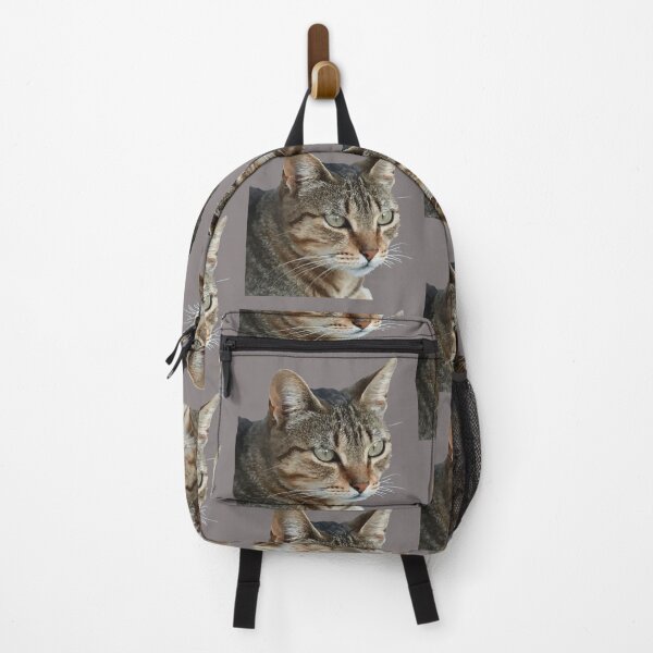 Item preview, Stunning Tabby Cat Close Up Portrait Vector Isolated designed and sold by taiche.