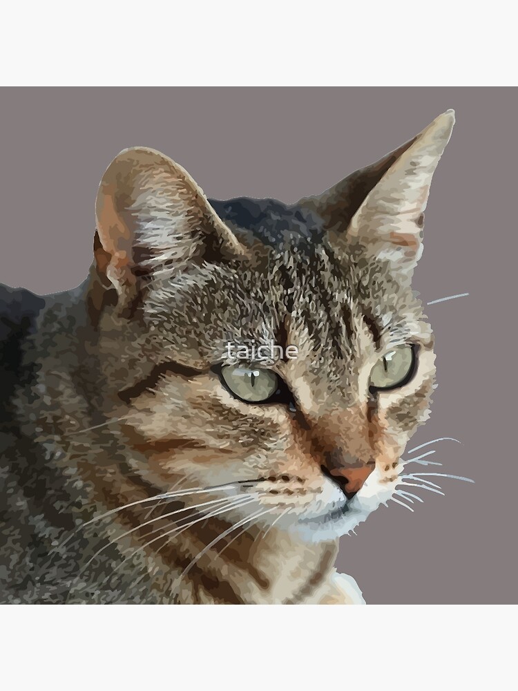 Thumbnail 4 of 4, Pillow, Stunning Tabby Cat Close Up Portrait Vector Isolated designed and sold by taiche.
