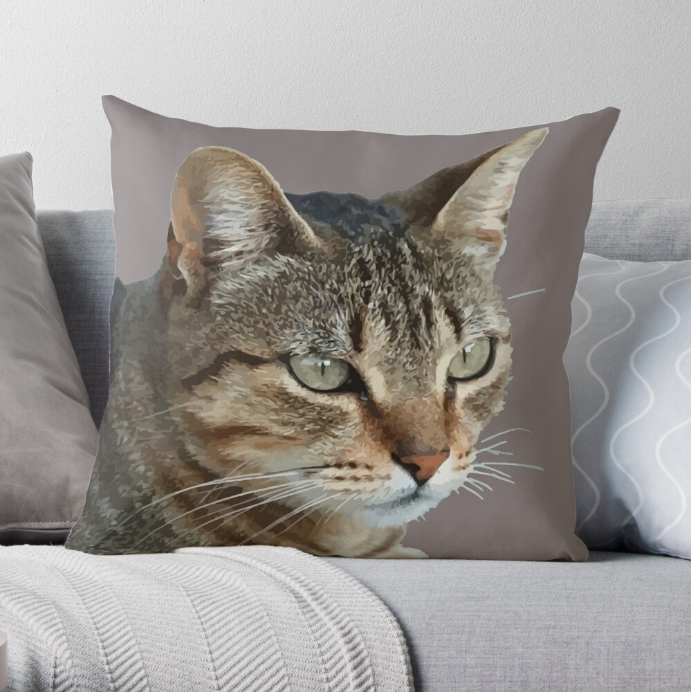 Tabby discount cat pillow