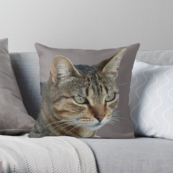 Stunning Tabby Cat Close Up Portrait Vector Isolated Throw Pillow