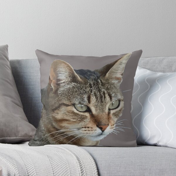 Item preview, Stunning Tabby Cat Close Up Portrait Vector Isolated designed and sold by taiche.