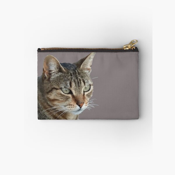 Item preview, Stunning Tabby Cat Close Up Portrait Vector Isolated designed and sold by taiche.