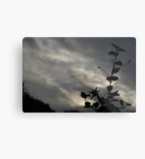 Emotional Metal Print