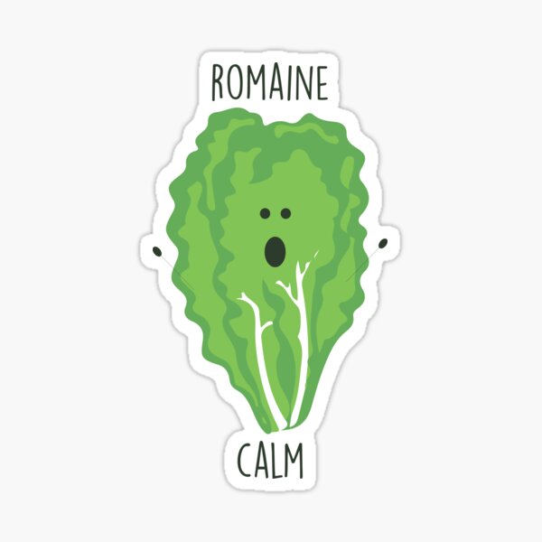 Romaine Calm // Happy Little Owl Collection Sticker