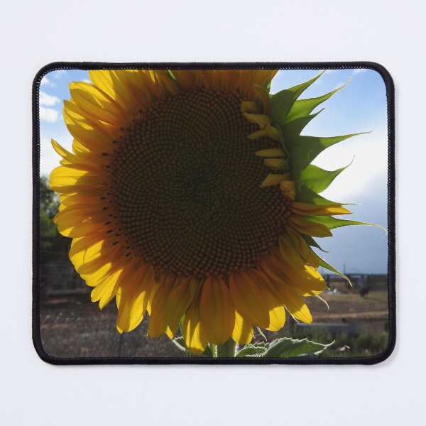 Item preview, giant yellow sunflower  designed and sold by Stephanie  Skeem.
