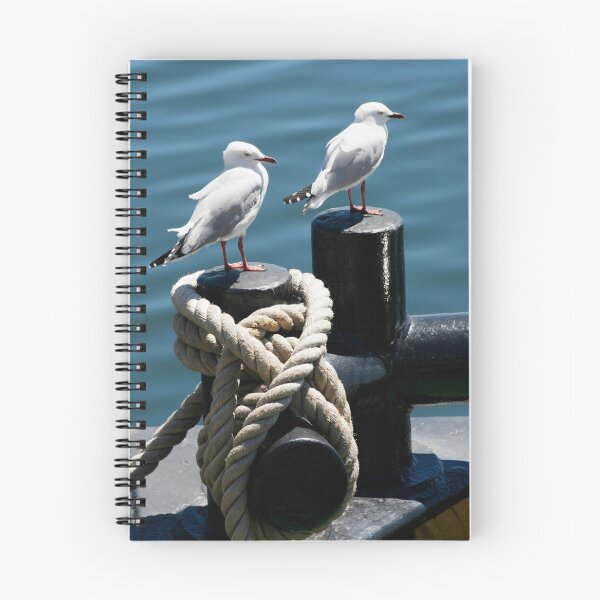 Item preview, Seagulls on a Bollard designed and sold by jwwallace.
