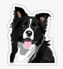 Border Collie Dog #2 Sticker