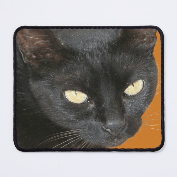 Item preview, Photograph Cut Out Of Black Cat With Yellow Eyes designed and sold by taiche.