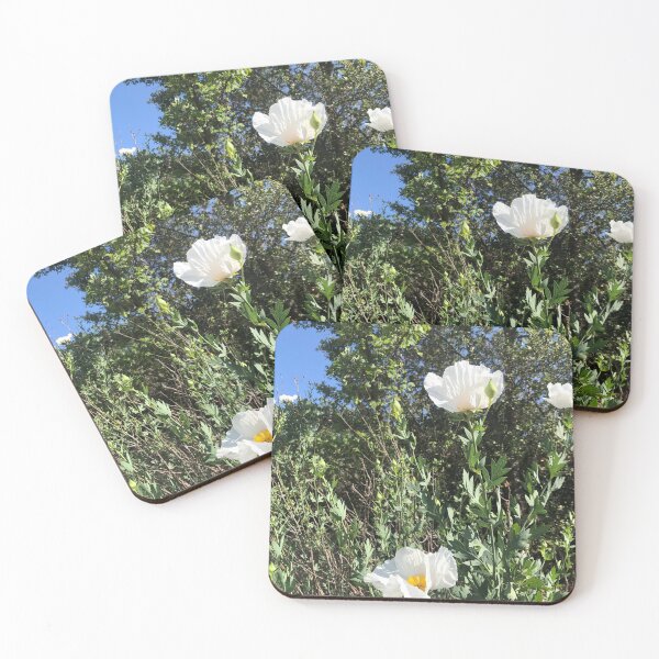 Item preview, Matilija Poppies  designed and sold by homotropic.