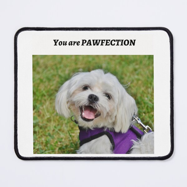 Item preview, " YOU ARE PAWFECTION " DOG DESIGN  designed and sold by findsbyjune374.