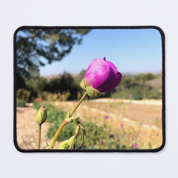 Item preview, California Wildflower designed and sold by homotropic.