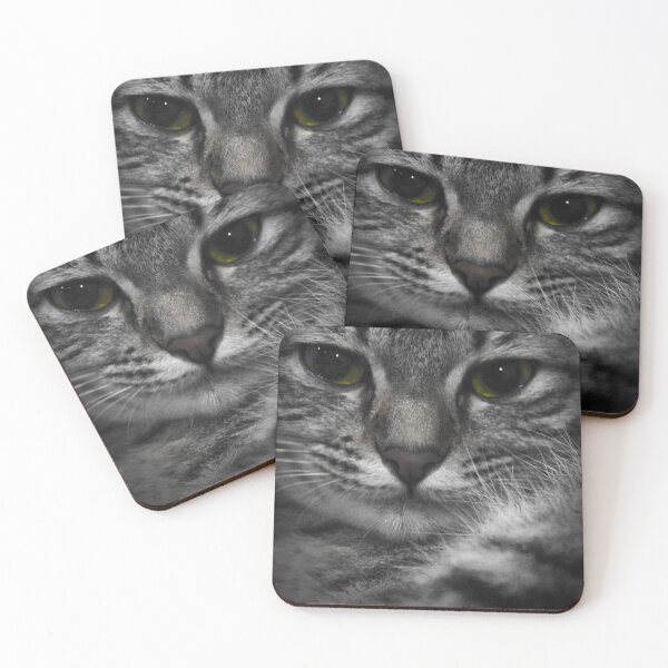 Item preview, Demi The Cat designed and sold by PanPu.