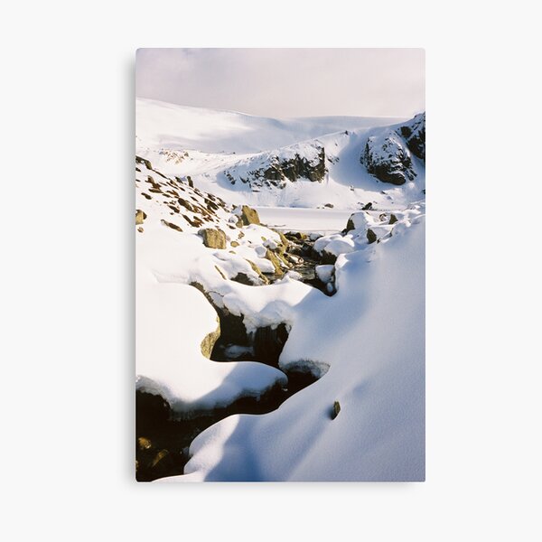 Tribute Canvas Print