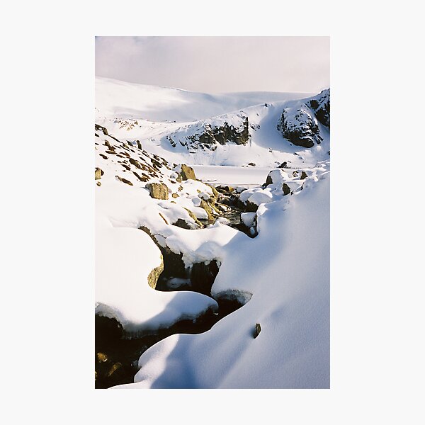 Tribute Photographic Print