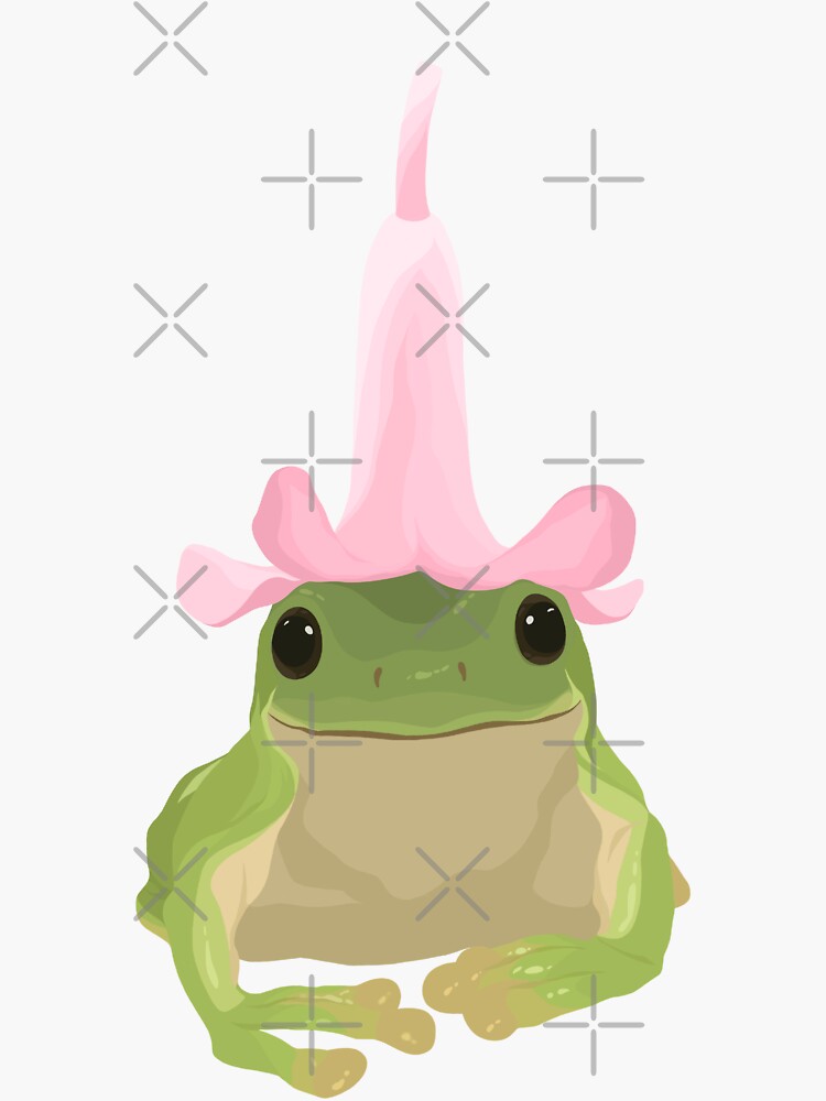 HOT Frog Sticker Pink Frog Hat Frog With Flower Hat