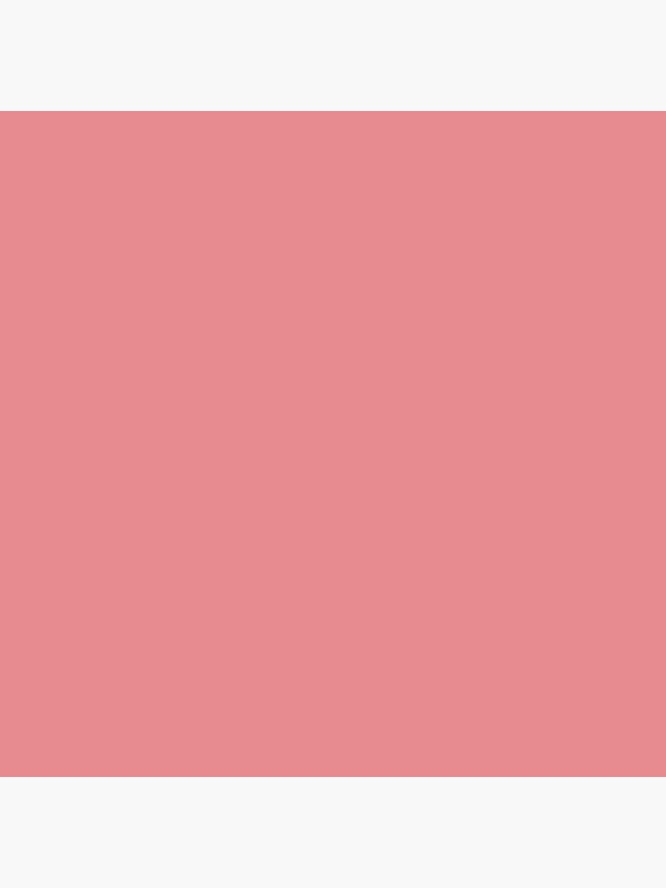 strawberry-ice-16-1720-tcx-pantone-color-trends-spring-summer