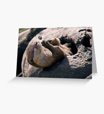 Playful Greeting Card
