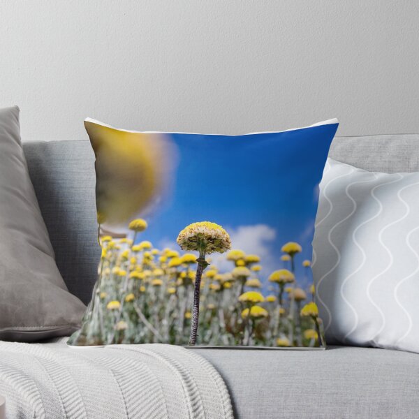 Item preview, looking up ............. designed and sold by Nina  Matthews Photography.