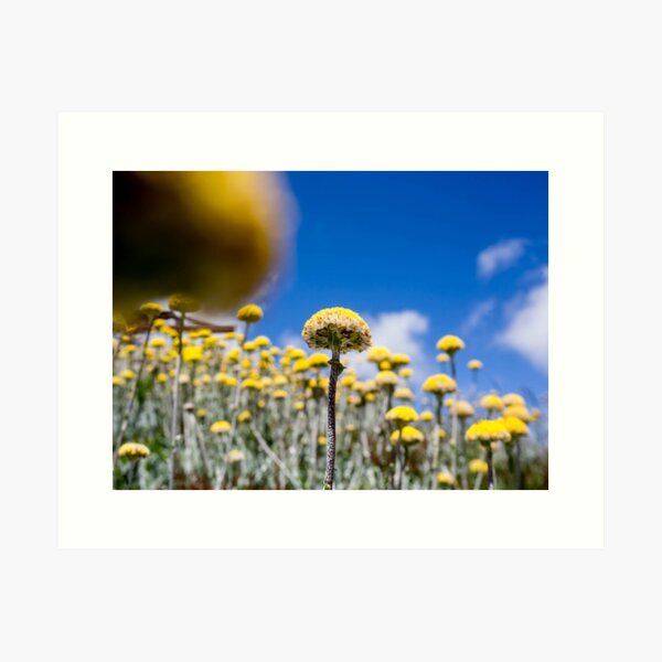 Item preview, looking up ............. designed and sold by Nina  Matthews Photography.