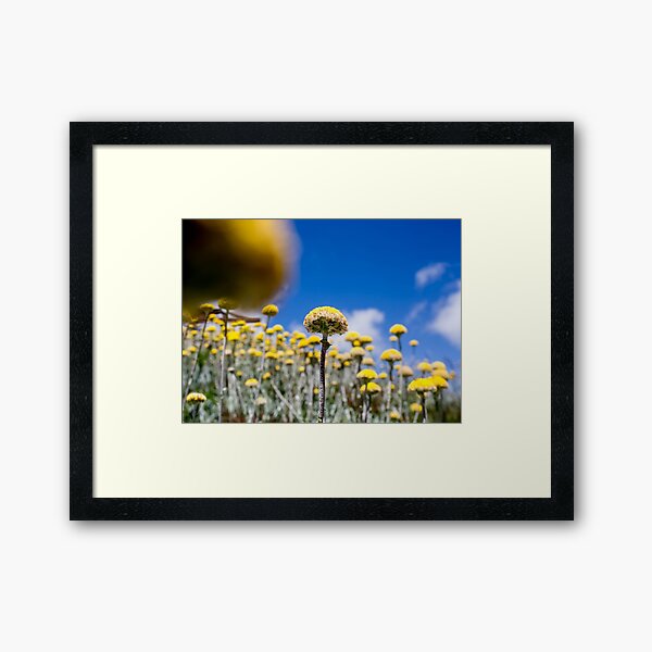 Item preview, looking up ............. designed and sold by Nina  Matthews Photography.