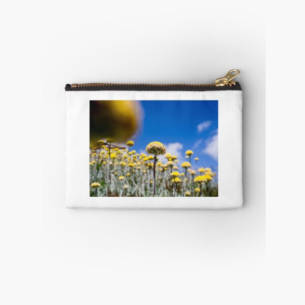 Item preview, looking up ............. designed and sold by Nina  Matthews Photography.