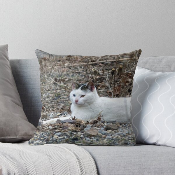 Item preview, Relaxing designed and sold by Frankie Cat Photography.