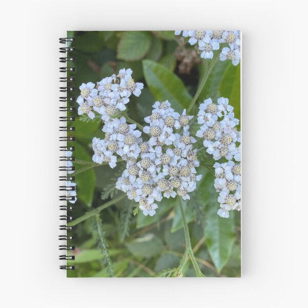 Item preview, White Achillea Grandifolia Flowers designed and sold by Sinemathk.