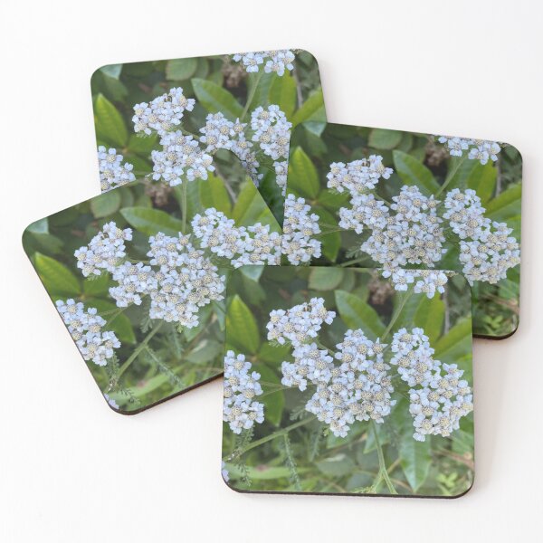 Item preview, White Achillea Grandifolia Flowers designed and sold by Sinemathk.